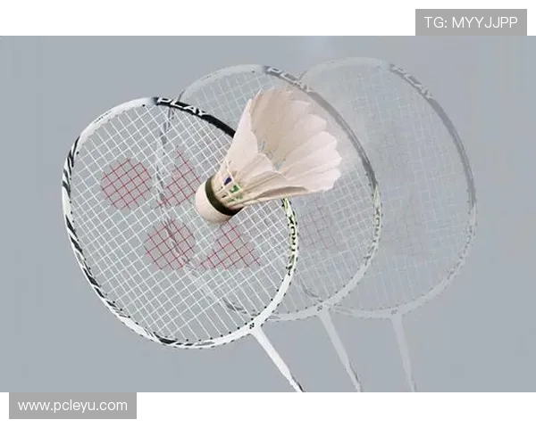 乐鱼官网app入口常见登录问题及快速解决方法全攻略